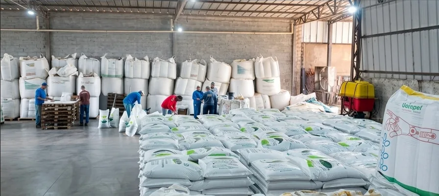 Equipe organizando sacarias de sementes no galpão